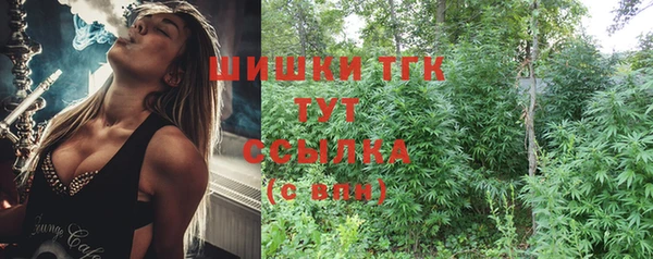 твердый Ладушкин