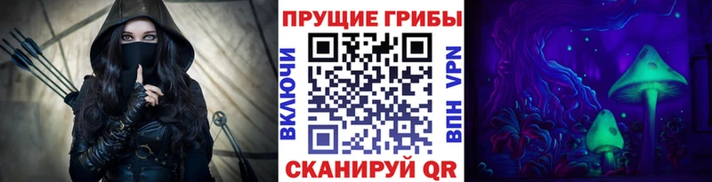 Псилоцибиновые грибы Cubensis  где купить наркотик  Медвежьегорск 